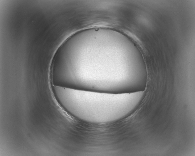 X0000075841423200609150900