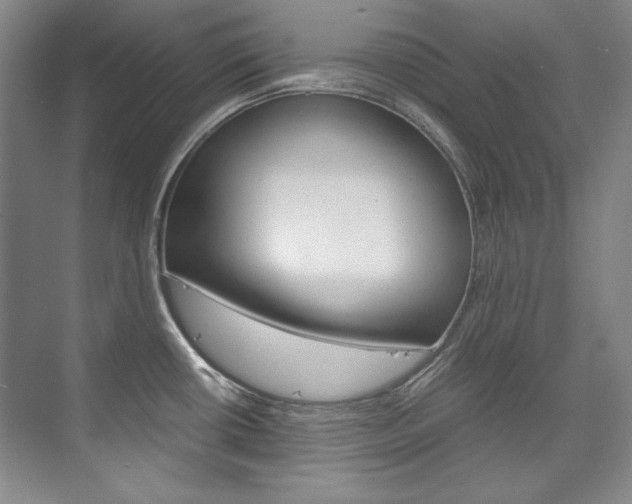 X0000075841434200609150900