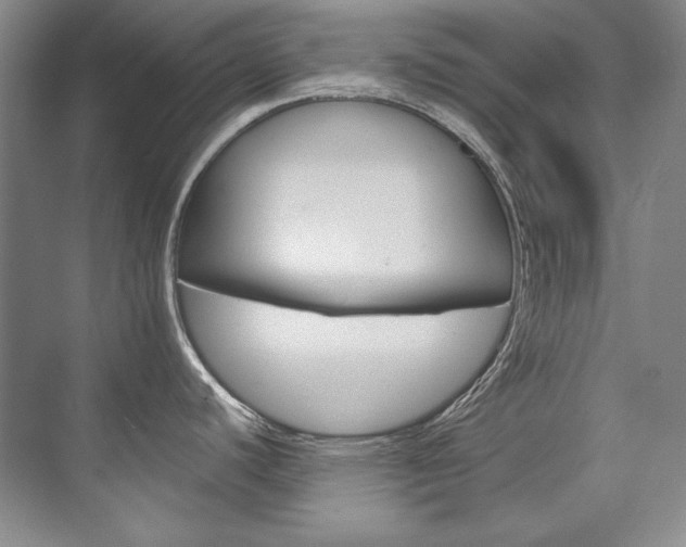 X0000075841440200609150900