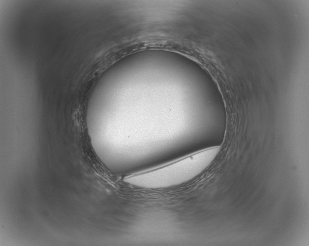 X0000075841445200609150859