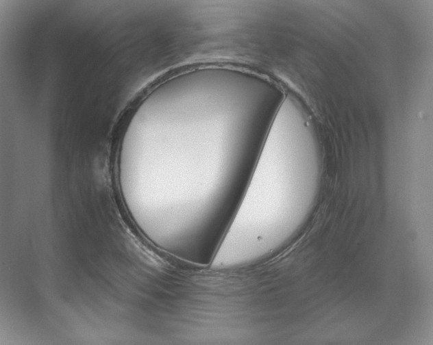 X0000075841452200609150859
