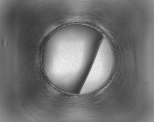 X0000075841453200609150859
