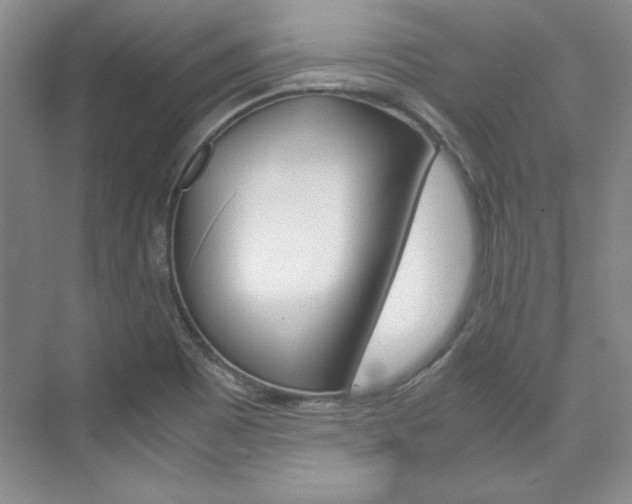 X0000075841465200609150859