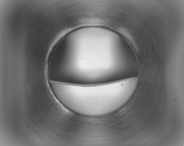 X0000075841472200609150859