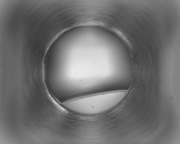 X0000075841476200609150859