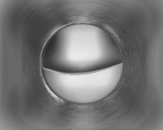 X0000075841479200609150859