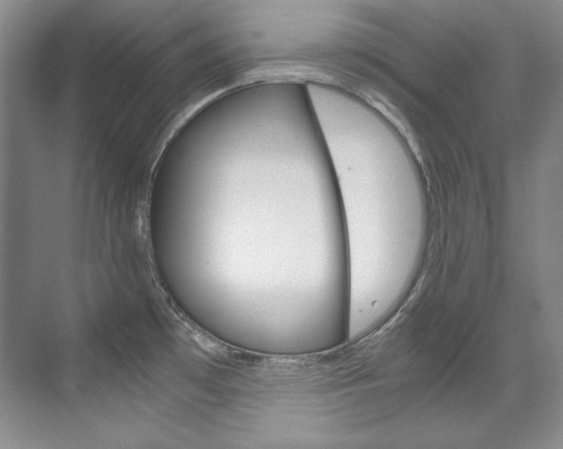 X0000075841481200609150859
