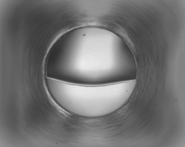 X0000075841483200609150859