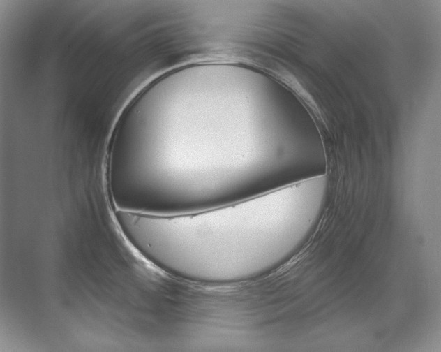 X0000075841484200609150859