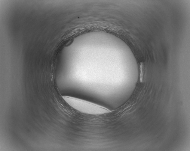X0000075841491200609150858