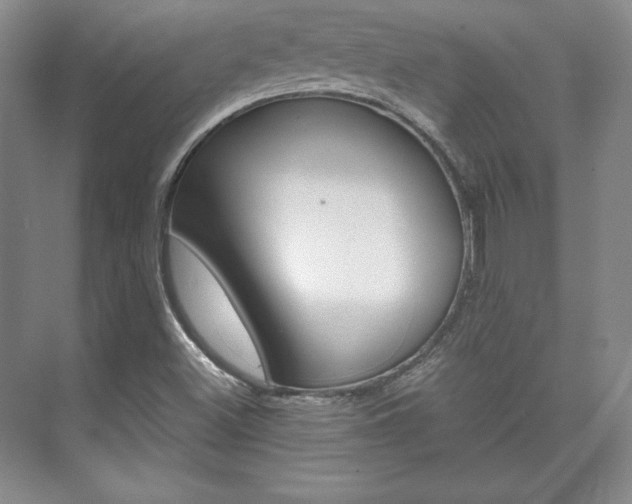 X0000075841500200609150858