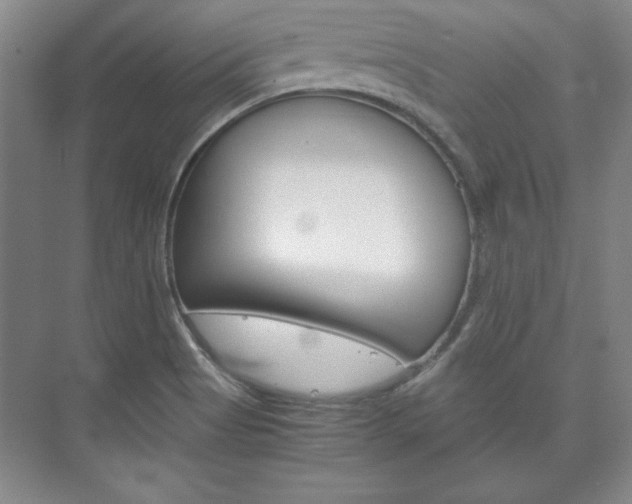 X0000075841513200609150858