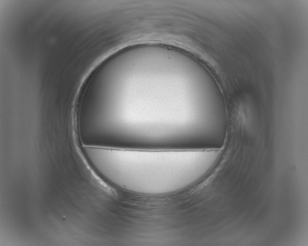 X0000075841517200609150858