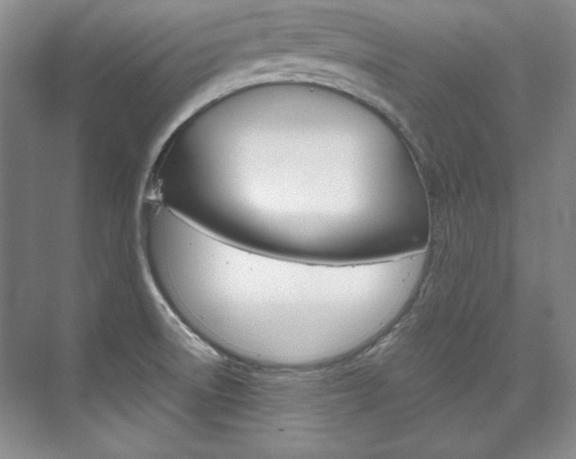 X0000075841522200609150858
