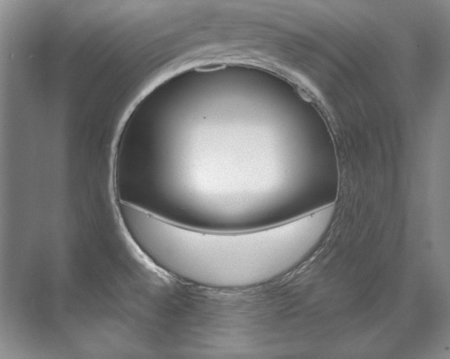 X0000075841528200609150858