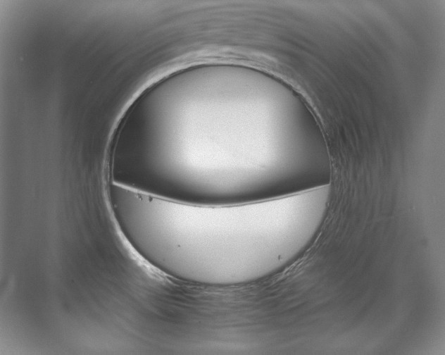 X0000075841531200609150859