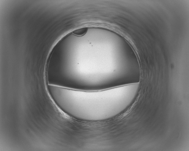X0000075841533200609150859