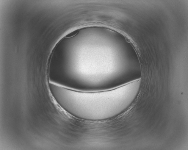 X0000075841534200609150859