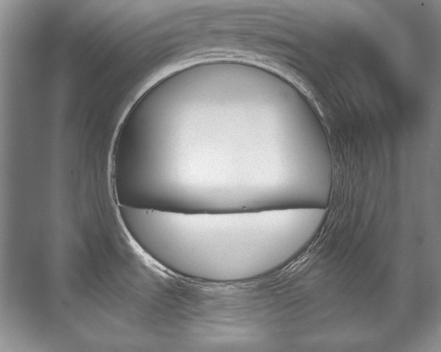 X0000075841535200609150859