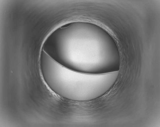 X0000075841536200609150859