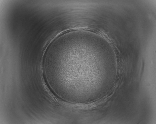 X0000075840002200609151316