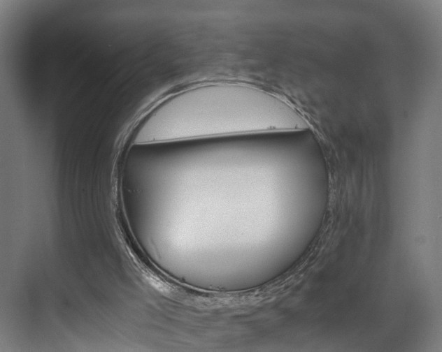 X0000075840005200609151316