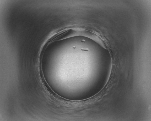 X0000075840006200609151316