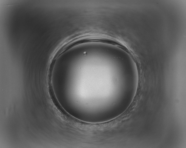 X0000075840007200609151316