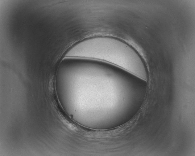 X0000075840009200609151316