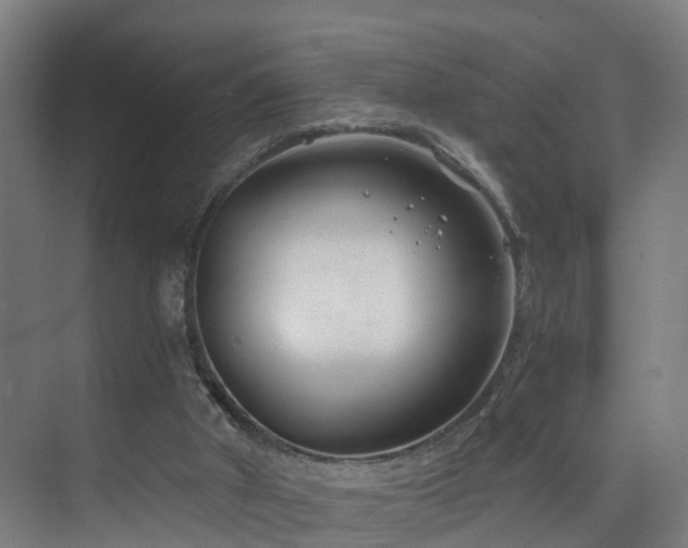 X0000075840010200609151316