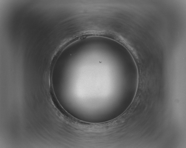 X0000075840011200609151316