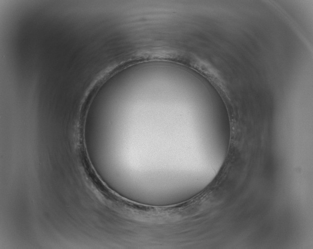 X0000075840012200609151316