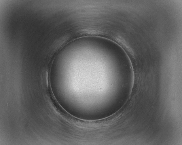 X0000075840014200609151316