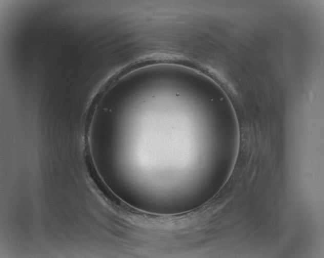 X0000075840015200609151316