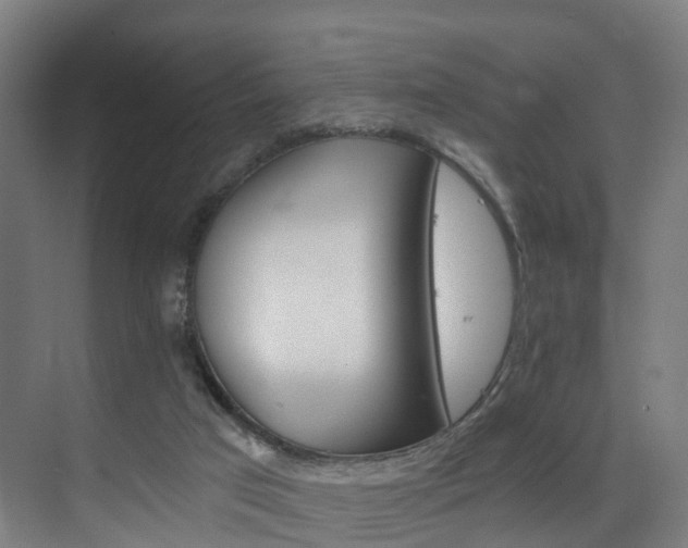 X0000075840017200609151316