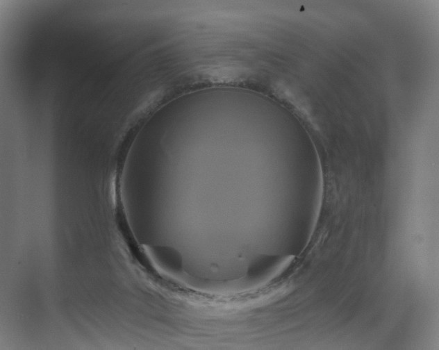 X0000075840019200609151316