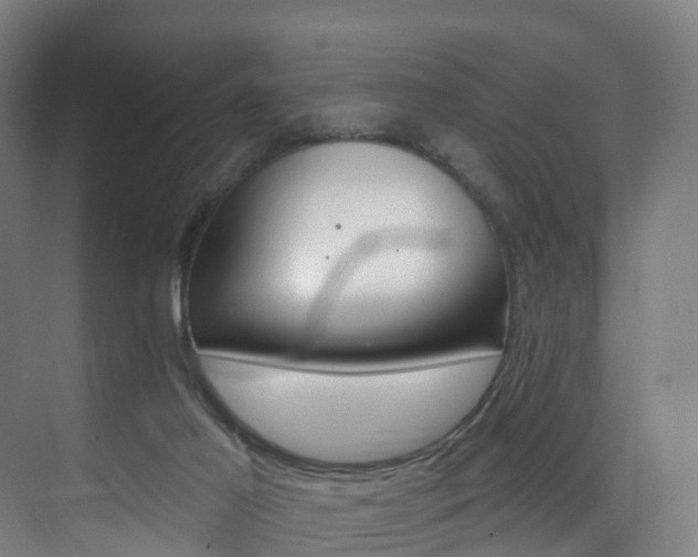 X0000075840021200609151316