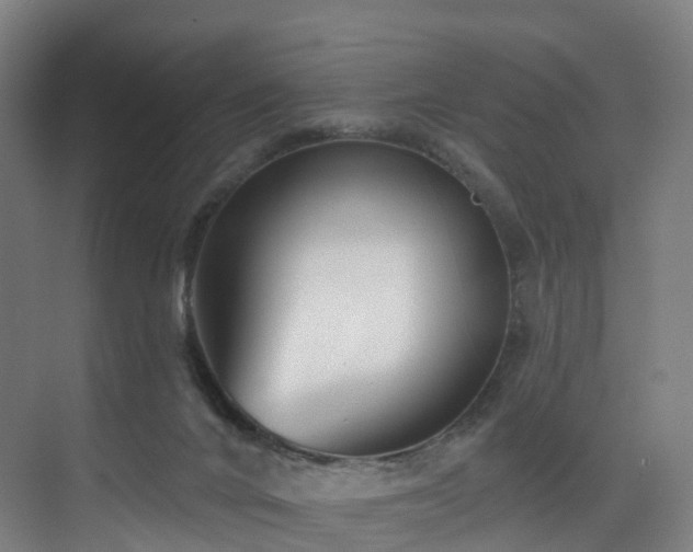 X0000075840024200609151316