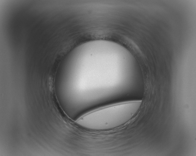 X0000075840025200609151316