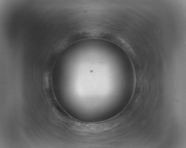 X0000075840026200609151316