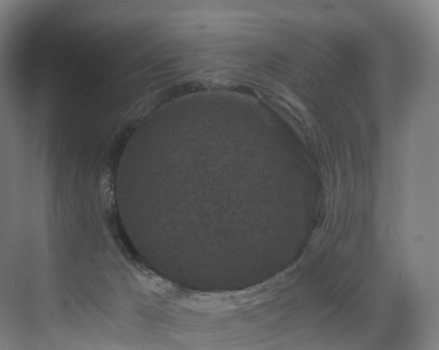 X0000075840029200609151316