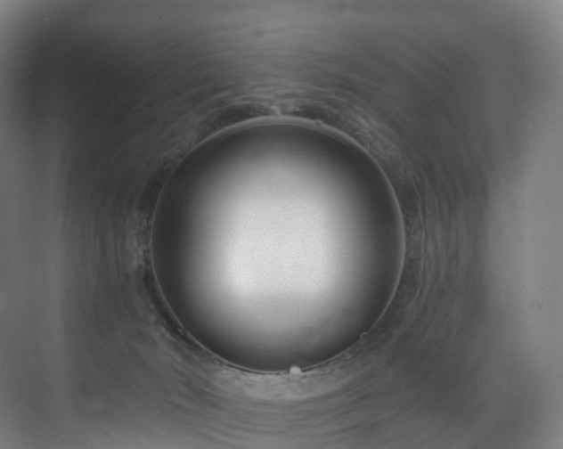 X0000075840030200609151316