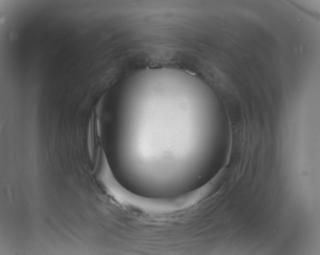 X0000075840033200609151316