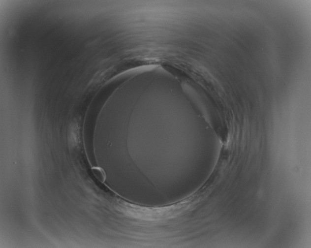 X0000075840035200609151316