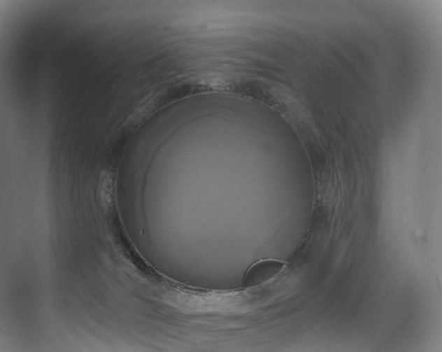 X0000075840036200609151316