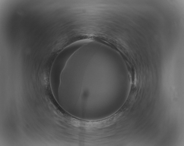 X0000075840039200609151316