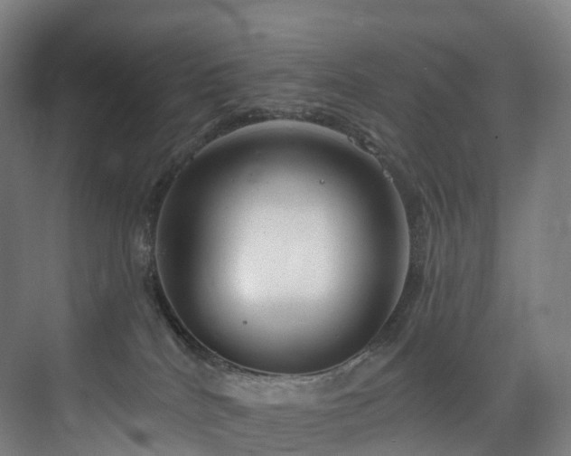 X0000075840040200609151316