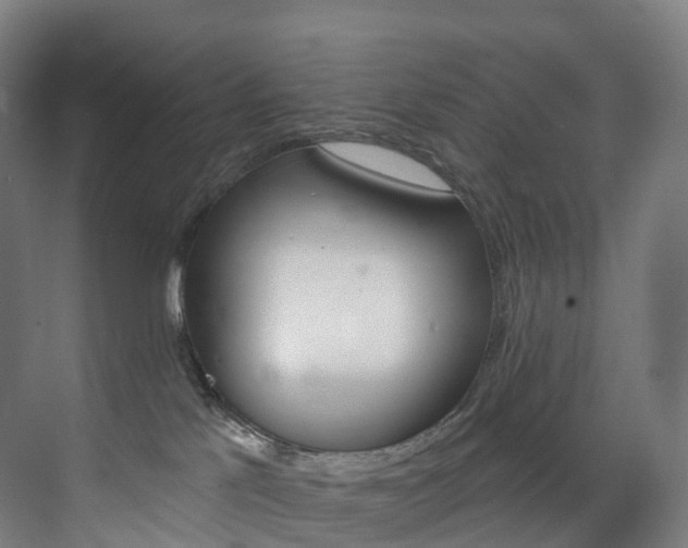 X0000075840041200609151316