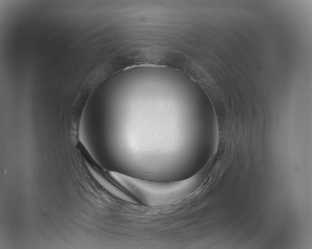 X0000075840045200609151316