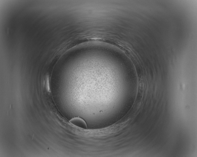 X0000075840046200609151316